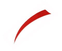 Pluma Color 5" Escudo Pluma Color 5" Escudo